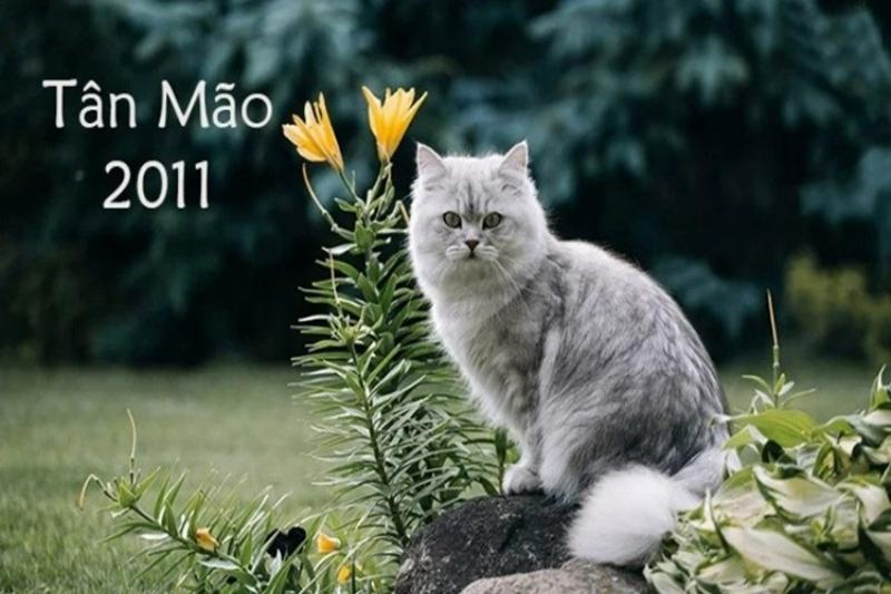 Hình ảnh tượng trưng tháng sinh tốt mang lại may mắn cho tuổi Tân Mão 2011